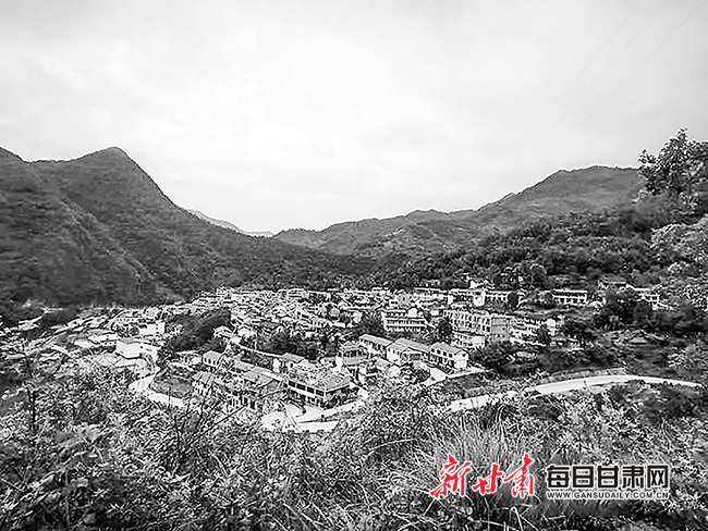 武都区三河镇柏林村 张瑾宁