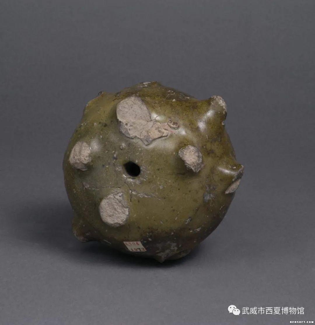 【西博之声】了解最早的“手榴弹” 解密西夏文化