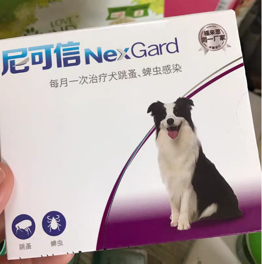 在使用尼可信之前,我也曾给我家大毛尝试过贝卫多