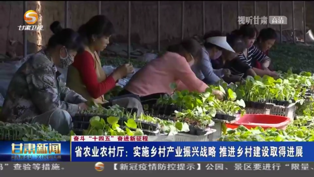 “十四五”甘肃建百个省级现代化农业产业园