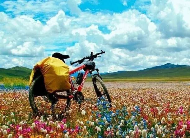 超有用！2021西藏最美旅行时间表，收藏起来以后去吧！