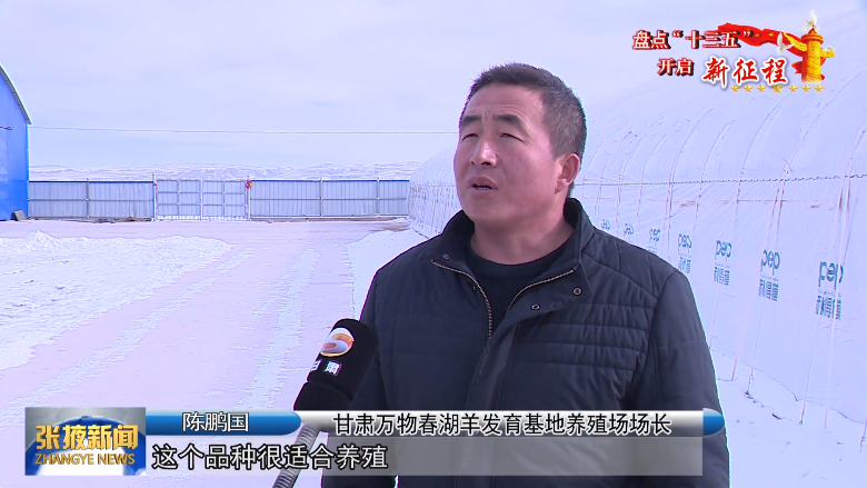 张掖壮大“六个区域特色产业” 解锁群众致富“密码”