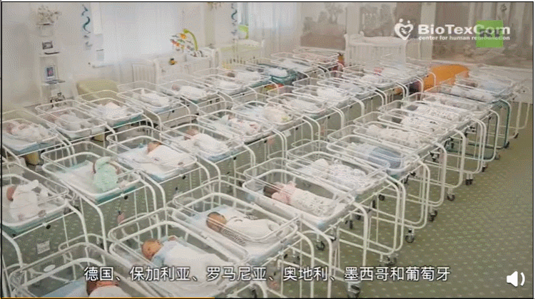 代孕法律禁止_代孕伦理问题_格鲁吉亚代孕价格