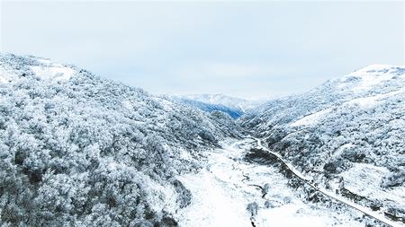 古坡草原雪景 摄影：王存录