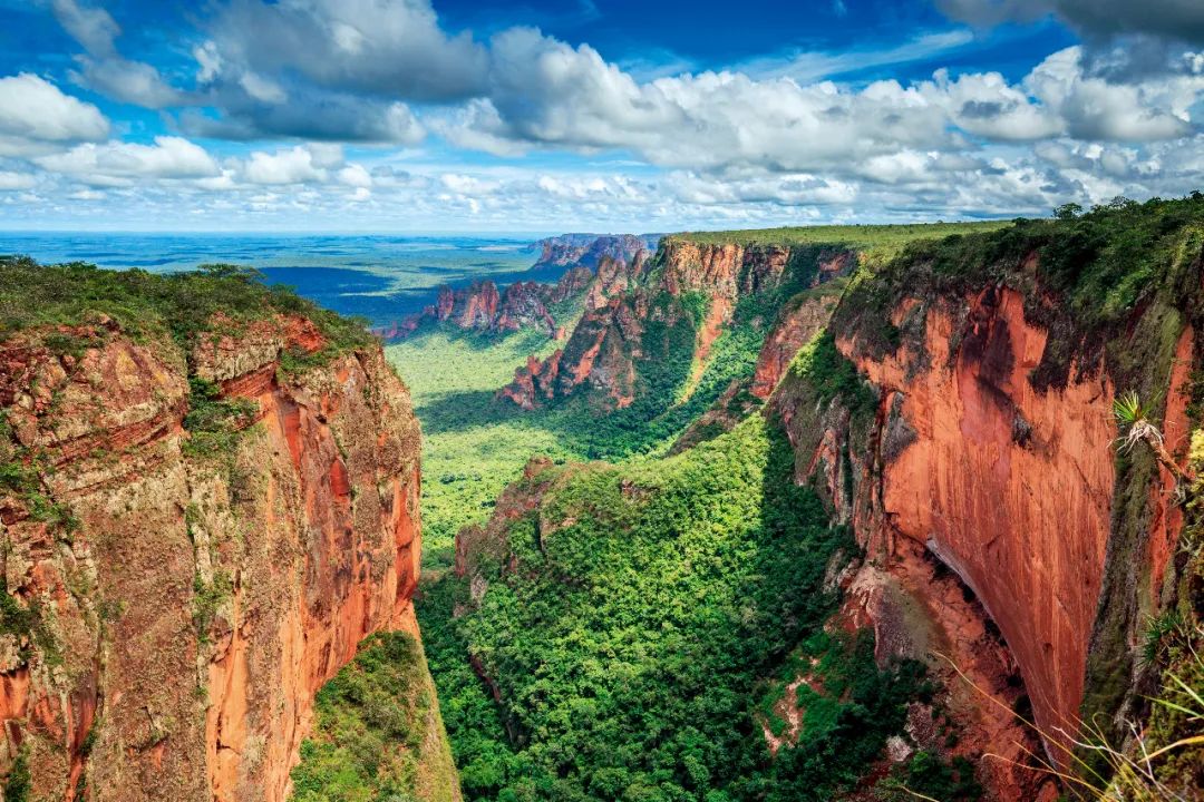 巴西高原景观图图片