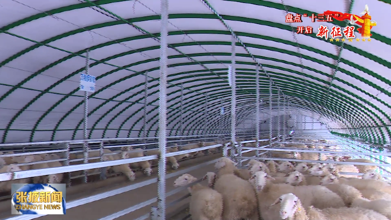 张掖壮大“六个区域特色产业” 解锁群众致富“密码”