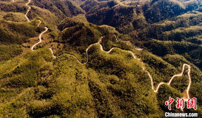 建成集森林防火、资源管护、科研观测、全域旅游为一体的深山道路，也成为群众脱贫致富的“小康路”。　赵春亮 摄