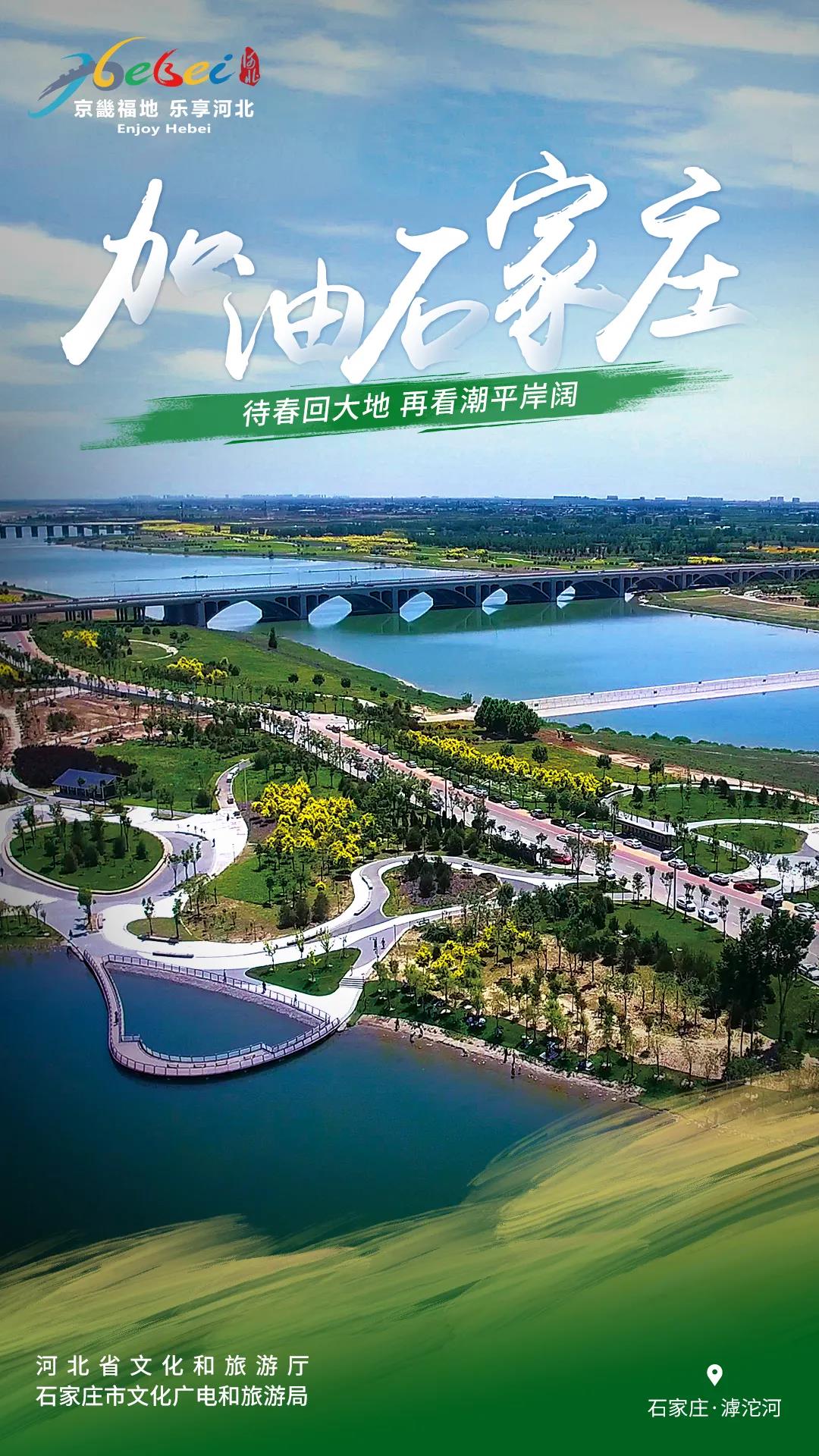 加油石家庄河北文旅抗疫主题海报为石家庄加油