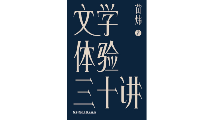 《文学体验三十讲》,作者:苗炜,版本:浦睿文化|湖南文艺出版社 2021年1月