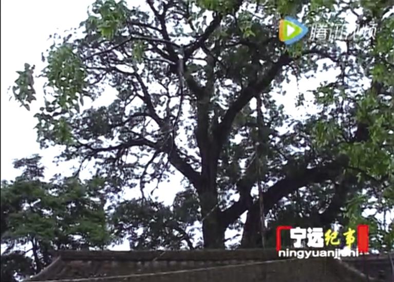 □纪录片《宁远纪事》截屏