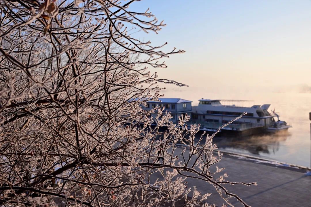 丹东:又见雾凇 鸭绿江畔美如童话