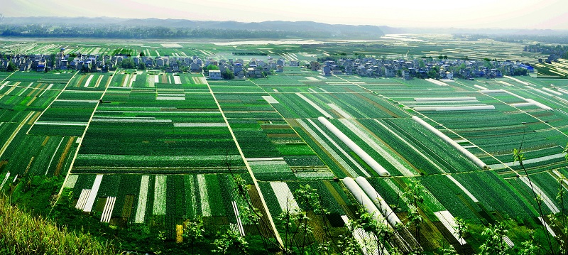 桂林双坝蔬菜基地