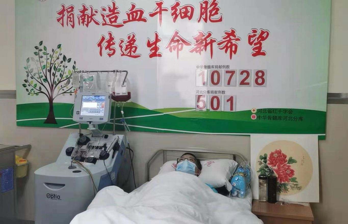 造血干细胞分离采集中.受访者供图