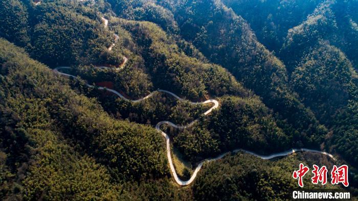 据了解，海拔1092米的分宜县大岗山包含5个林场，山林面积超过13万亩，是我国南方亚热带林业科研实验中心。　赵春亮 摄