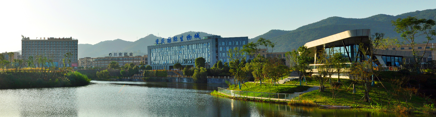 巴南:打造成西部地区最全最强生物药产业链和千亿级国际生物城凤凰网