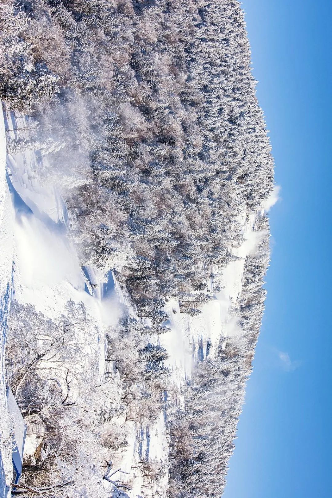 在中国，哪里最适合滑雪？