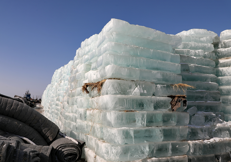 丹东东港人造冰场进入收工阶段