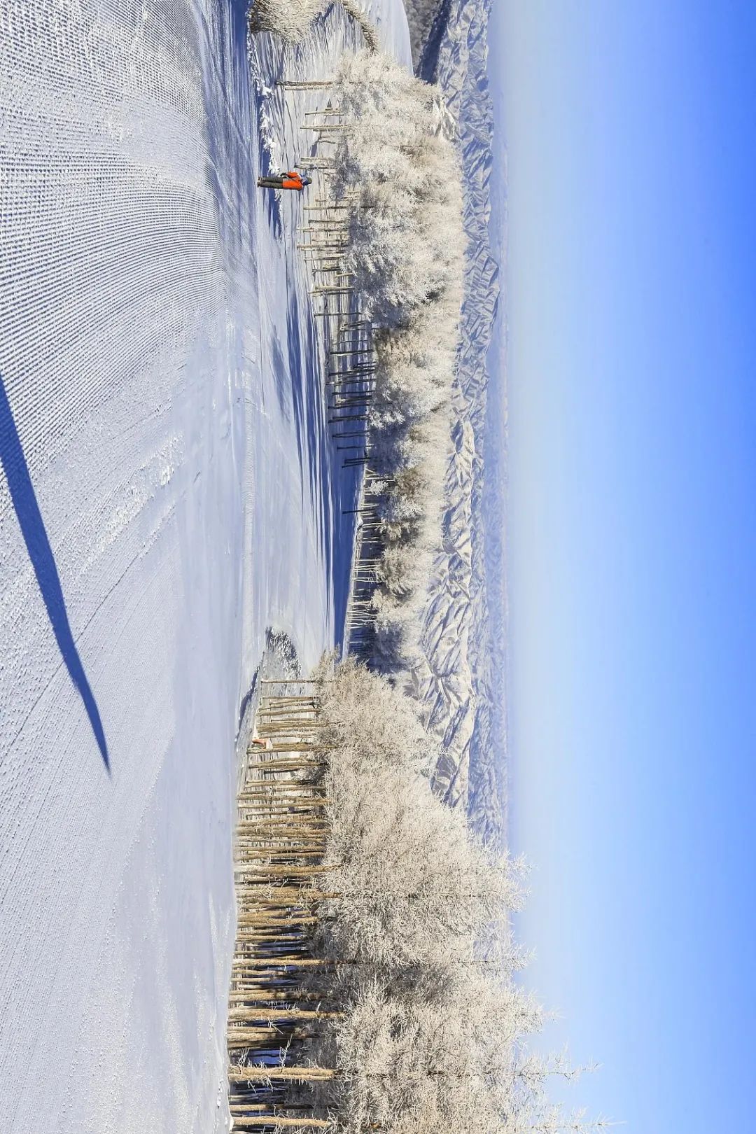 在中国，哪里最适合滑雪？