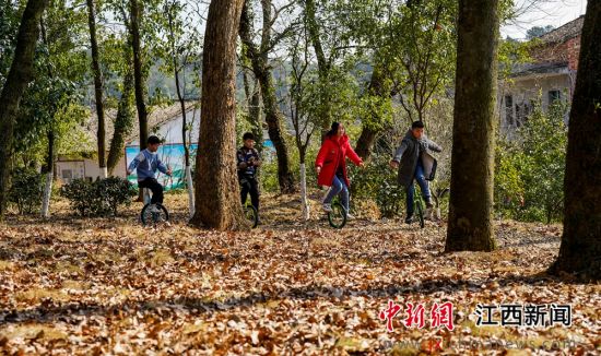 2021年1月28日，江西省新余市仙女湖区欧里镇白梅村梅花乡村公园里，由乡童组建的独轮车运动队正在进行骑行训练。