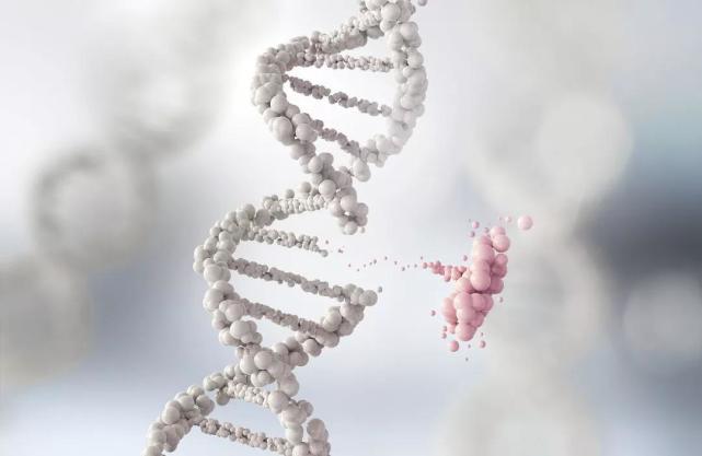相关的不稳定或缺陷基因，你天生就有更大的风险倾向得某种或某些癌症。如果家里有多人先后或同时得癌症，但