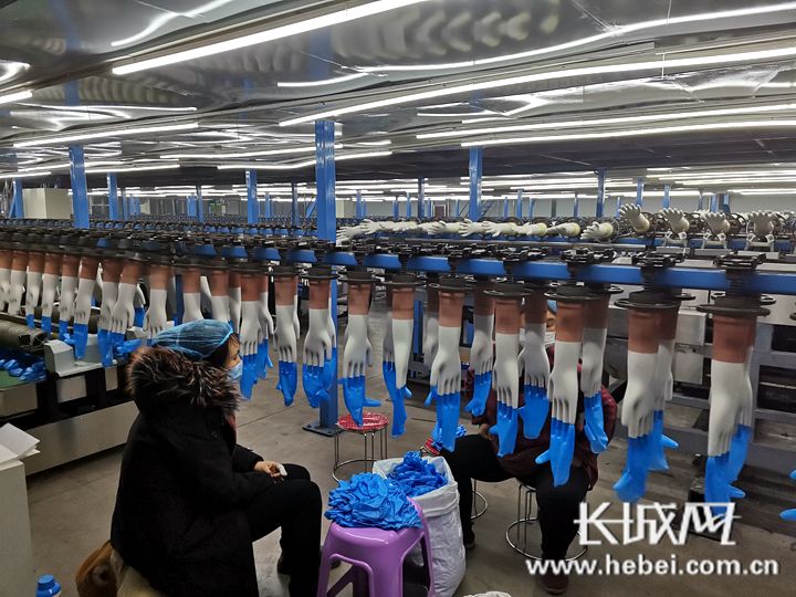 河北浩利嘉一次性pvc手套车间.安献锋 摄