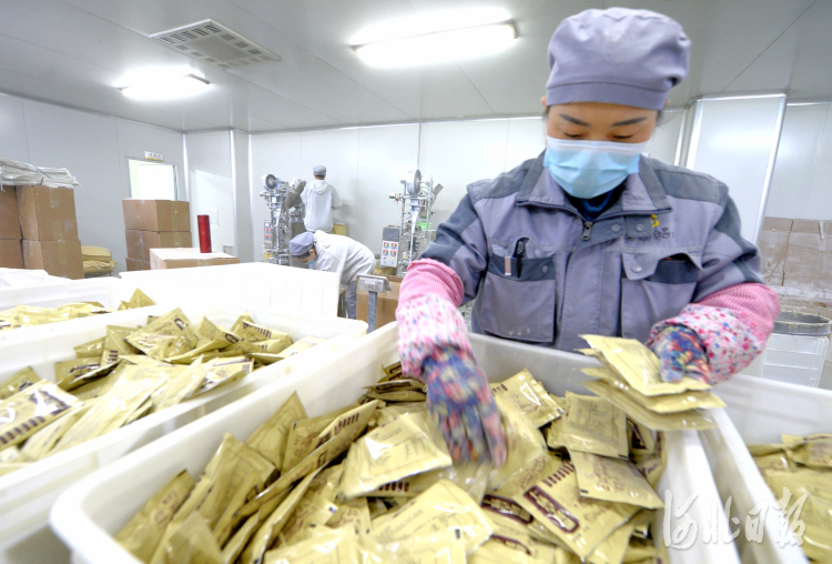 近日，安国市百草方和药业有限公司的员工在包装产品。安国市以市场为导向，支持企业延伸中药材产业链，不断增加产品附加值。