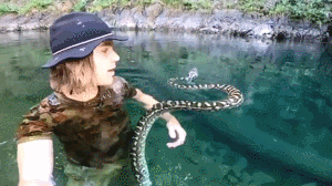 探险小伙溪中偶遇3米长蟒蛇 还人蛇共游了一段