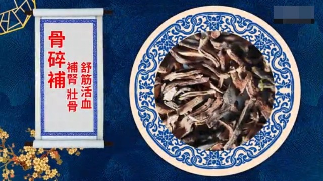 骨碎补的作用与功效，你知道它的食用方法吗？