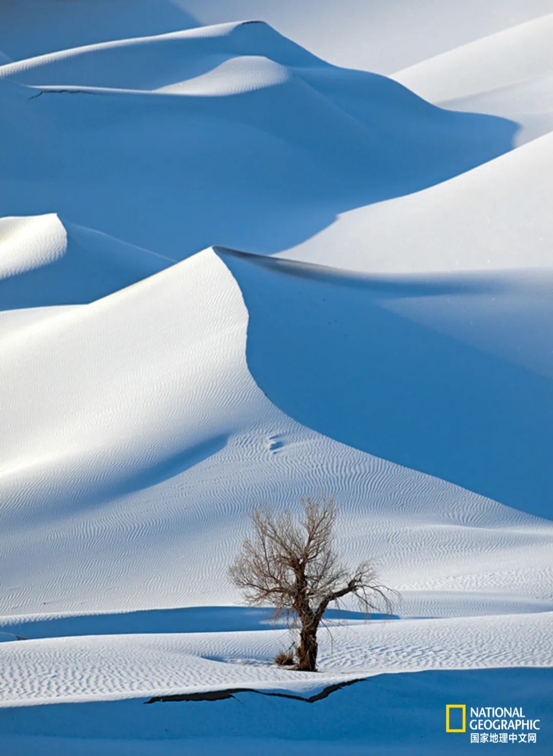奇景！新疆塔克拉玛干沙漠迎降雪，“死亡之海”成“雪海”_凤凰网视频_凤凰网