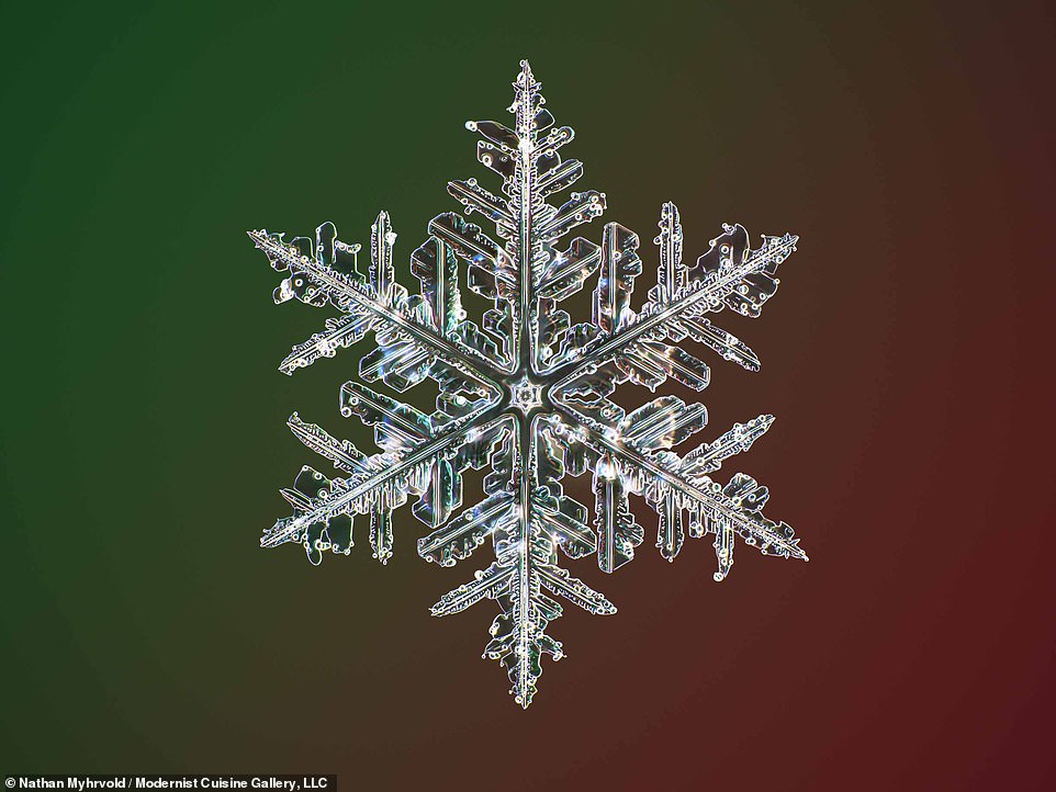 梅尔沃德在加拿大小镇耶洛奈夫拍摄的雪花照片