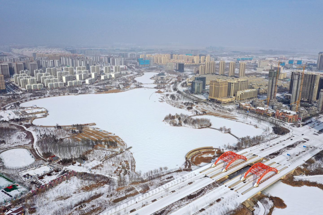笑看玉树琼花兰州新区迎来今年第一场雪