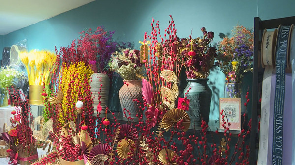 潍坊青州市 红火年宵花艺成牛年 新宠 凤凰网