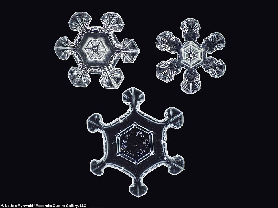 梅尔沃德拍摄的“姿态各异”的雪花照片