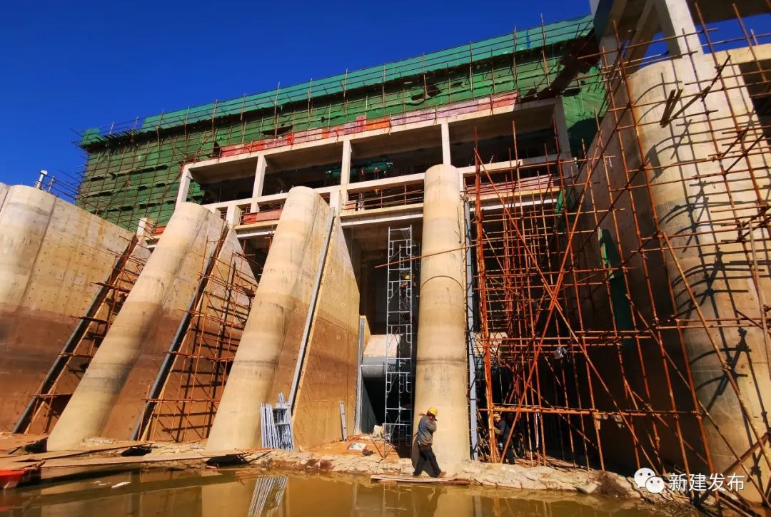 规则上尽管保存现有行道树管道清洗设备公司(2)