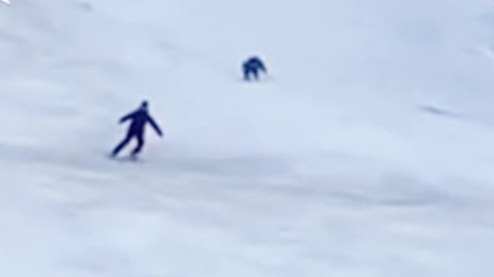 熊口逃生！罗马尼亚男子滑雪时被熊猛追疯狂逃命