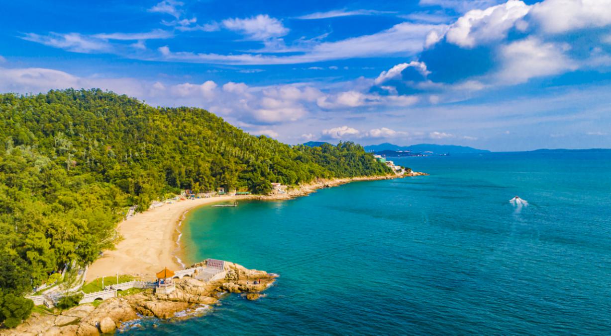 葵涌党工委2021年工作报告干货来了!凤凰网广东_凤凰网