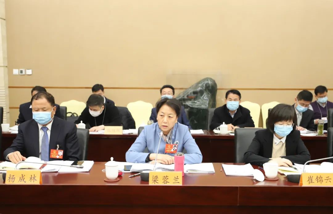 梁蓉兰代表说,《政府工作报告》是一个新颖务实,脉络清晰,站位高,思路