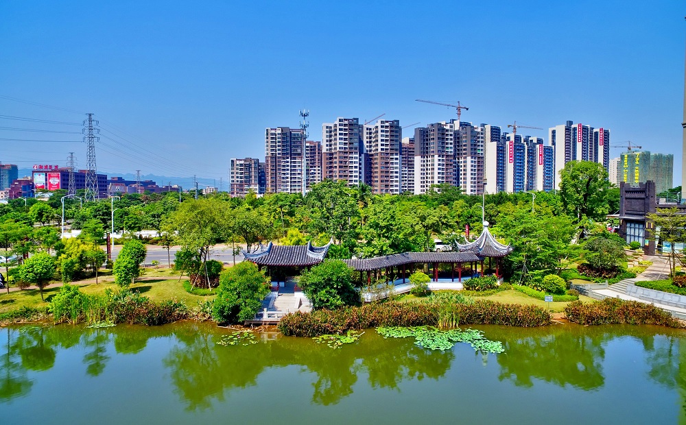 三水区大塘镇第十七届人民代表大会第十次会议开幕