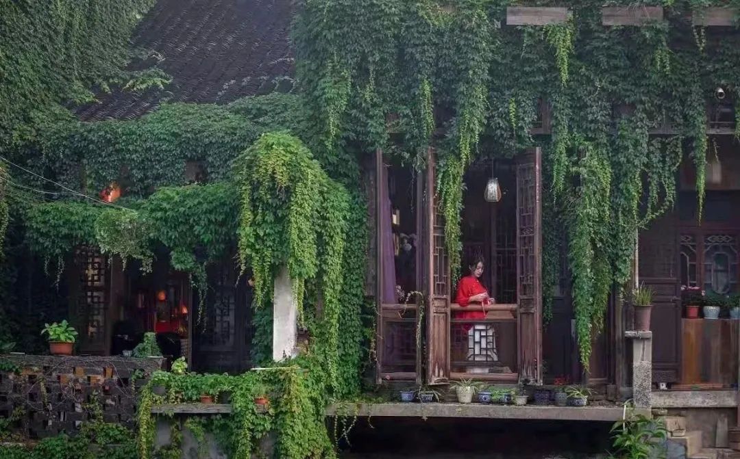 上海后花园龙凤:城市周边休闲生活圈的体验指南