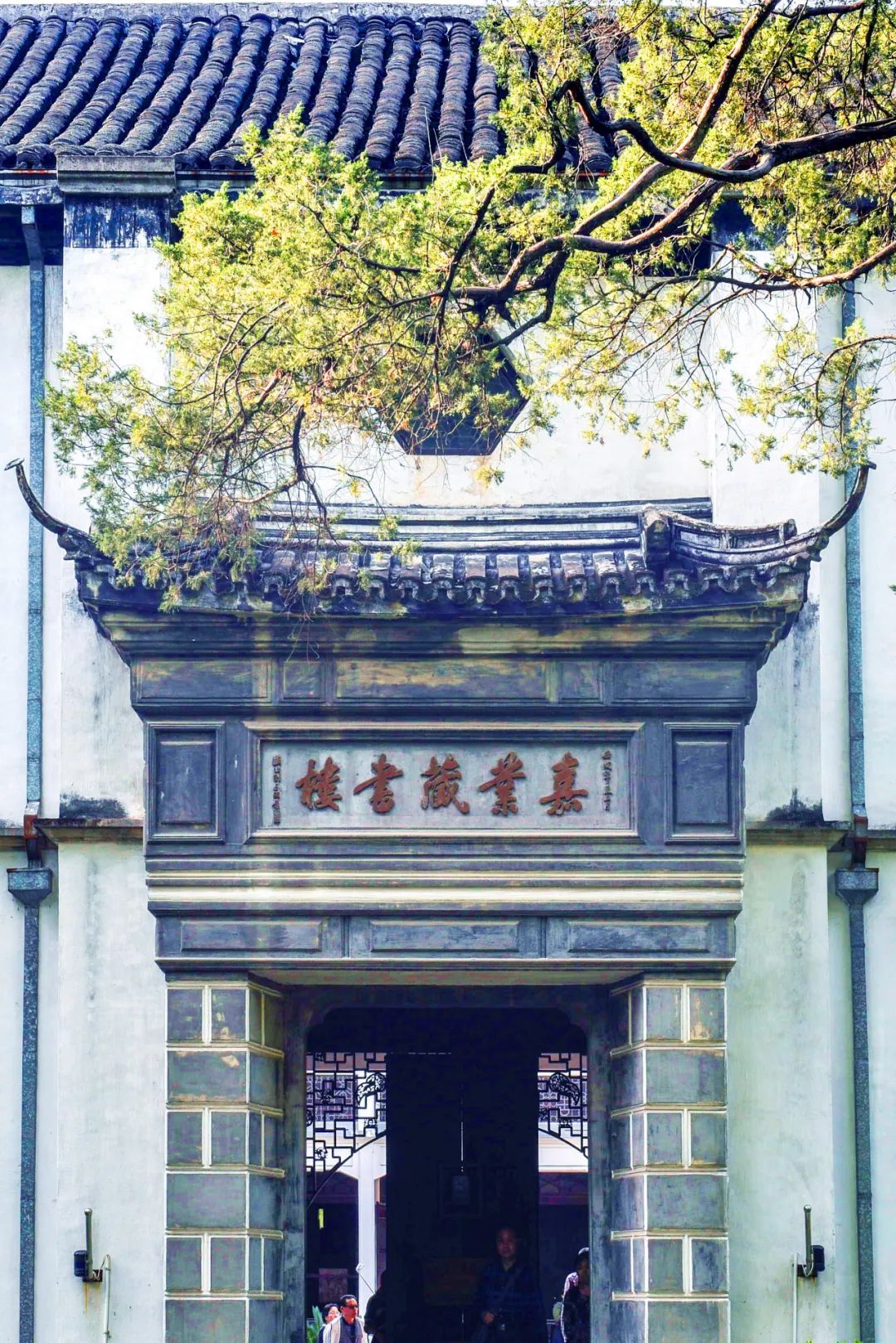 上海后花园千花网全解析：从419花千坊地址到1314花千坊，一份魔都夜生活实用地图