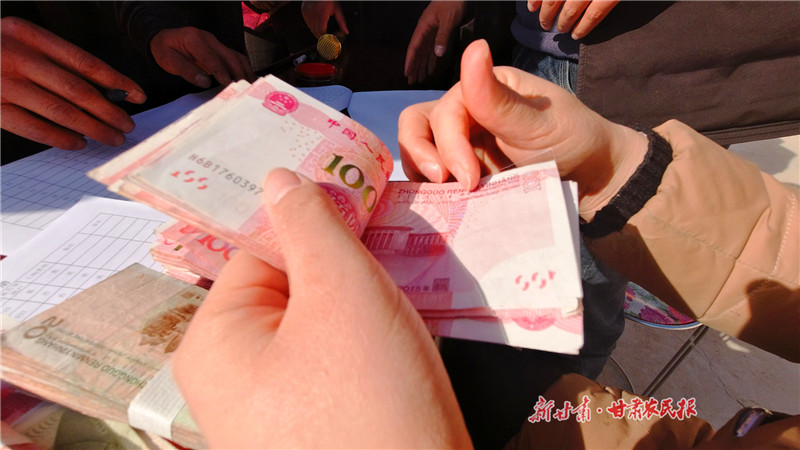 直击分红现场静宁果园里结出红票子