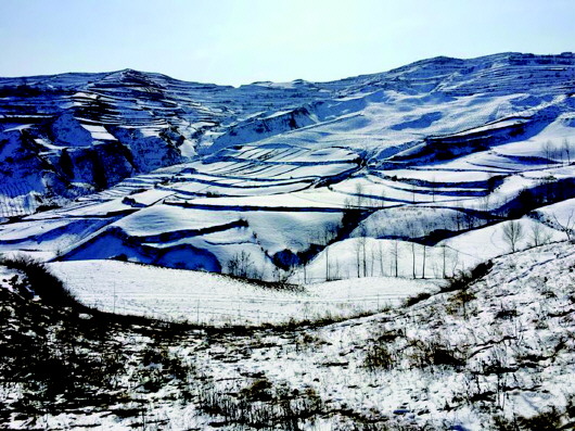 打卡武山的冬 这里藏着美醉了的万亩雪田