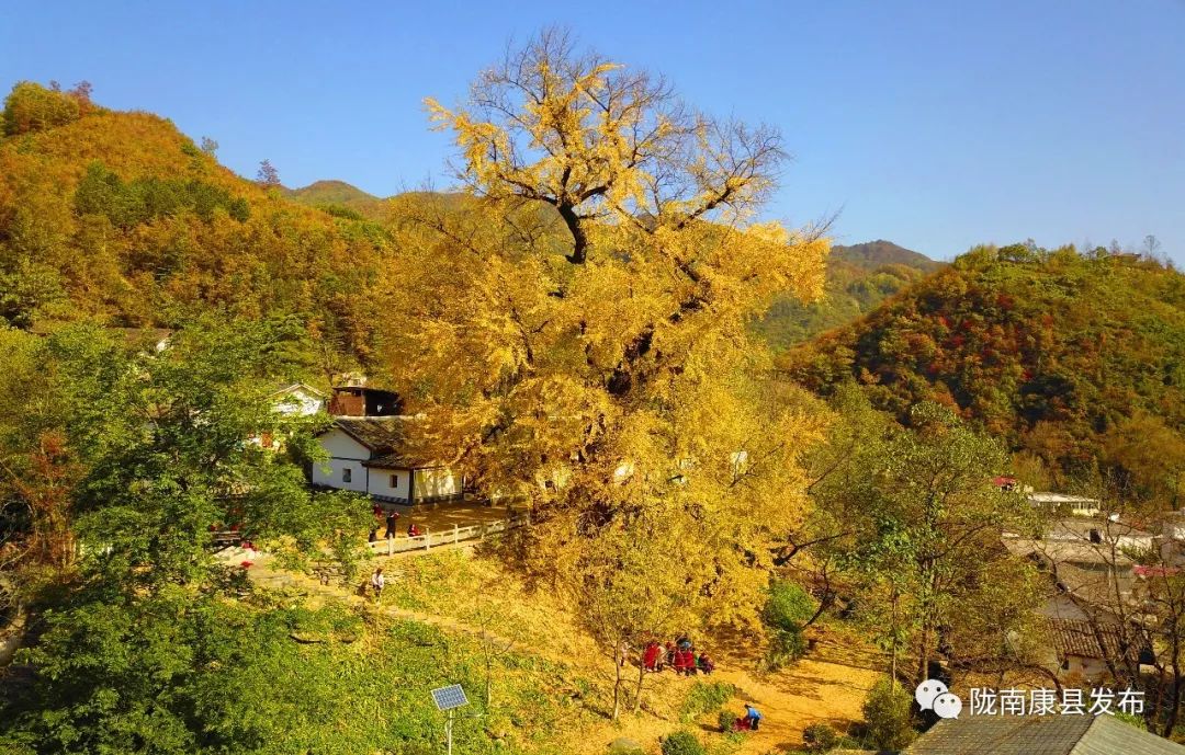 康县严家坝： “绿色古董”话幸福