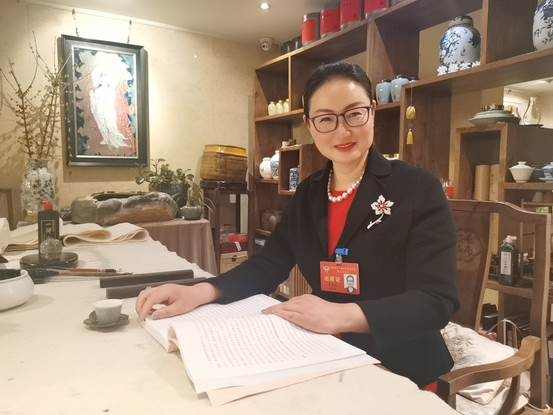 杭州市政协委员共话共建数智杭州宜居天堂