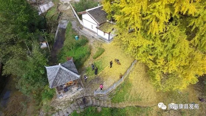 康县严家坝： “绿色古董”话幸福