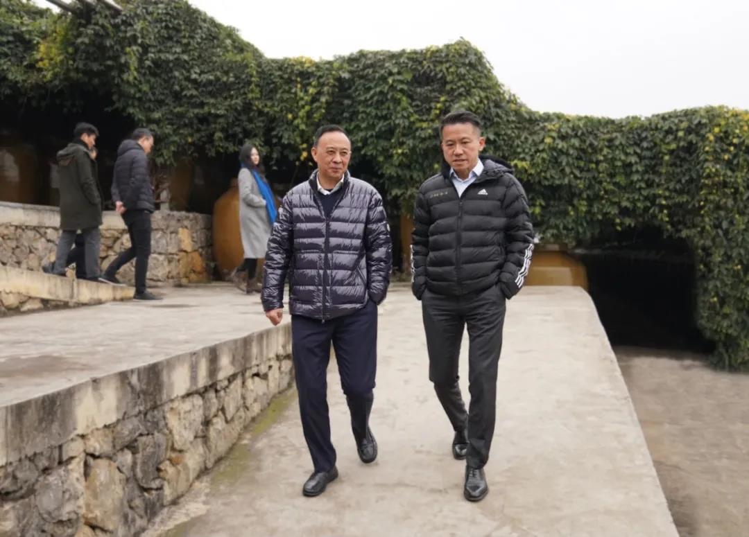 水井坊朱镇豪来访汪俊林揭示庄园引发的三种向往