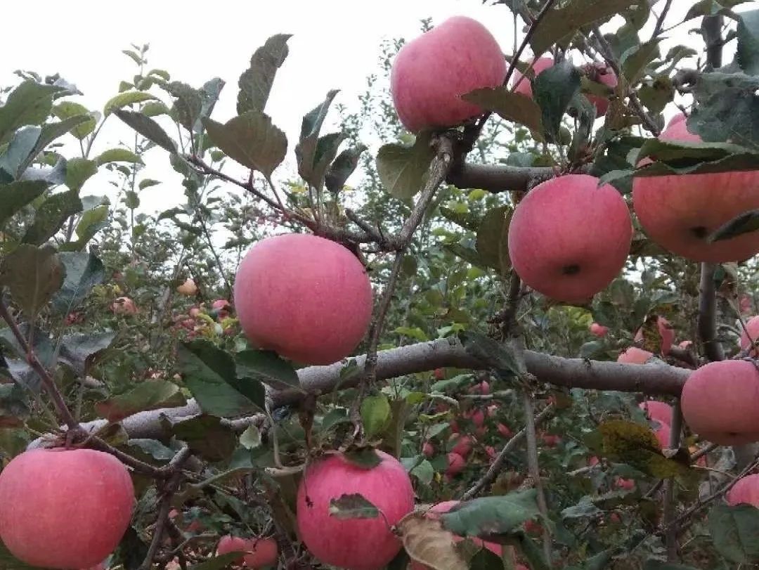 西汉水奔腾不息 见证礼县变迁……