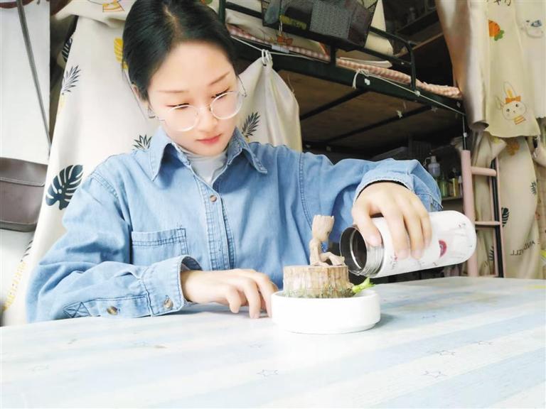 关梦瑶精心呵护绿植