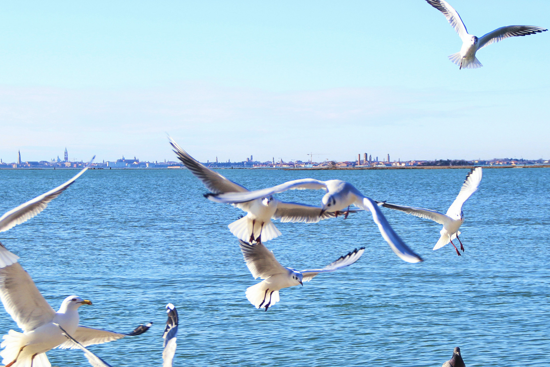 &auml;&cedil;&auml;&frac14; &aring;&curren;&plusmn;&egrave;&acute;&yen;