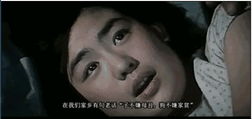 在山丹军马场实地取景 《牧马人》带你回味美丽草原爱情